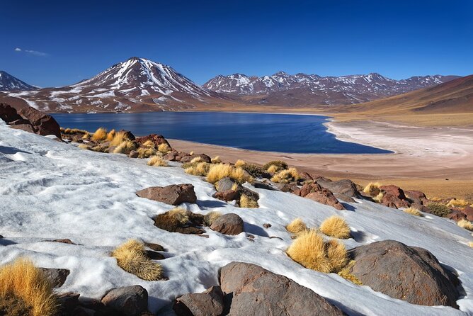 1-Day Tour Altiplanic Lagoons and Piedras Rojas and Laguna Chaxa - The highlights worth knowing first