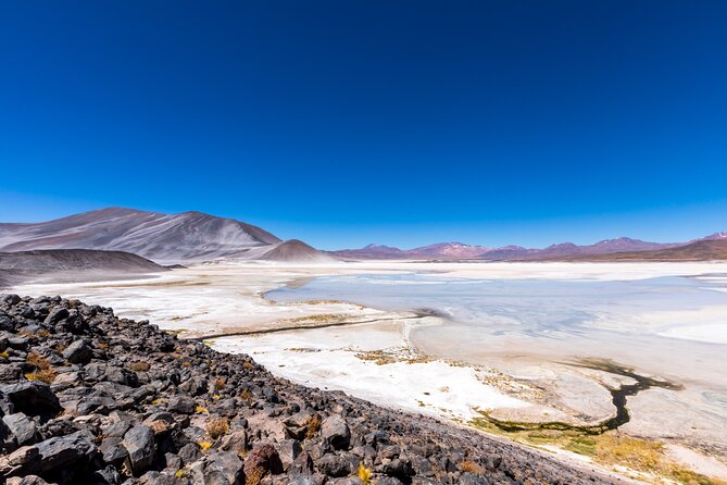 1-Day Tour Altiplanic Lagoons and Piedras Rojas and Laguna Chaxa - Laguna Chaxa and the flamingo stop