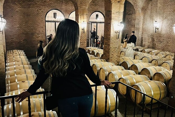 1 Day Tour of Viña Concha y Toro from Santiago - Key points to know before booking