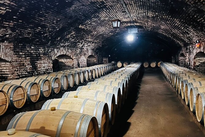 1 Day Tour of Viña Concha y Toro from Santiago - Why this winery visit works well from Santiago