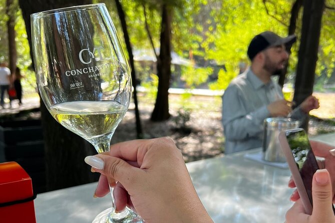 1 Day Tour of Viña Concha y Toro from Santiago - The Maipo Valley view