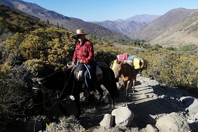 2-Day Private Hiking Tour to La Paloma Glacier - Practical Packing and Planning Advice