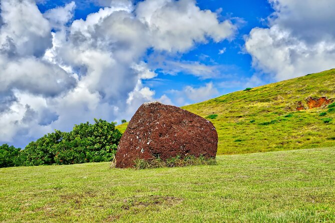 2 Days Highlights Tour in Easter Island Moai and Nature - Who should book this tour?