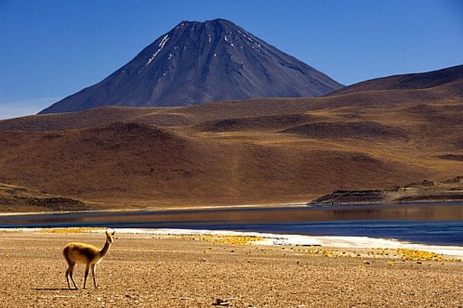 4-Day Atacama Desert Experience with Hotel, Tours & Meals - The Tropic of Capricorn on the return to San Pedro