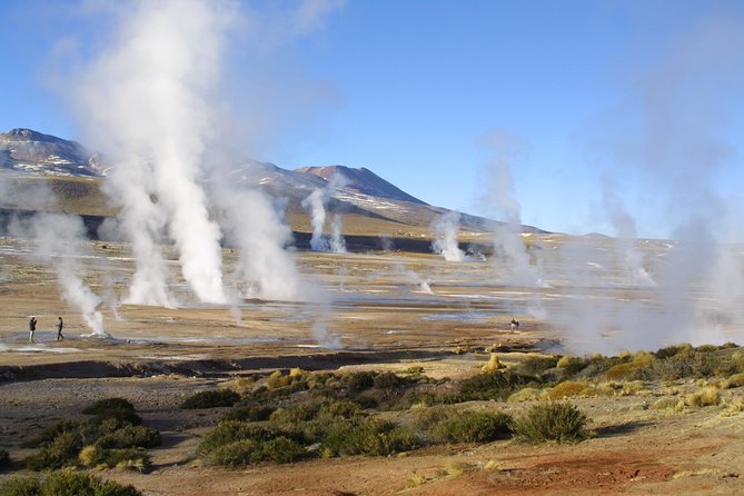 4-Day Best of Atacama: Moon Valley, Tatio Geysers and Altiplanic Lagoons - Piedras Rojas and the long ride back
