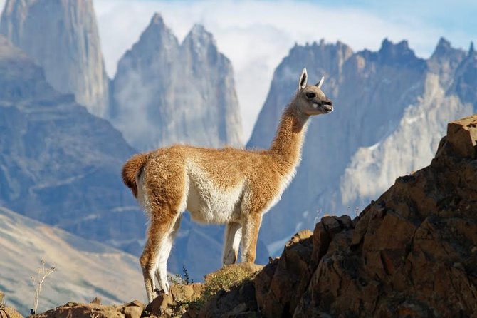 4-Days Trip to Puerto Natales & Torres del Paine National Park - Day 1: Punta Arenas to Puerto Natales by public bus