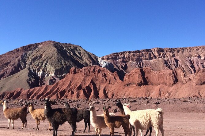 4 Tour in 2 Days, in San Pedro de Atacama - Day one starts with Rainbow Valley at 3,500 meters