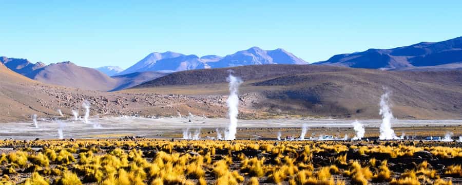 4 TOUR IN ATACAMA IN 3 DAYS - Cejar Lagoon and the high desert salt water