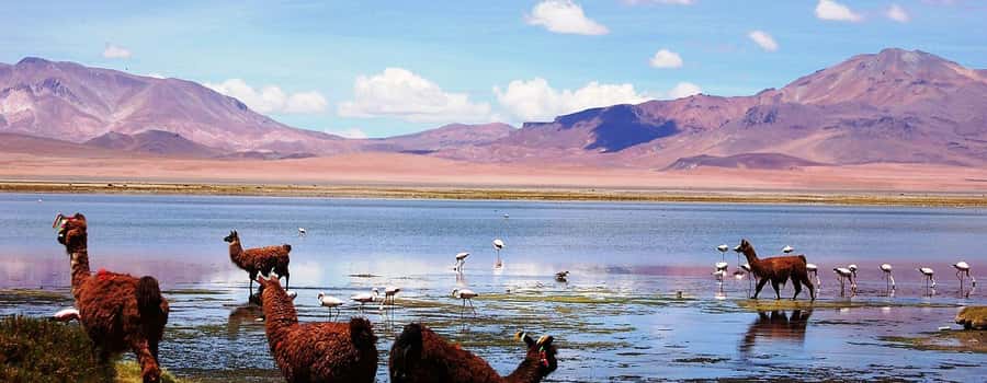 4D/3N SAN PEDRO DE ATACAMA-UYUNI (ROUND TRIP) SHARED SERVICE - Is the $400 price good value?