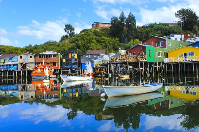 5-Day Tour Chile & North Patagonia - Five details that shape the experience
