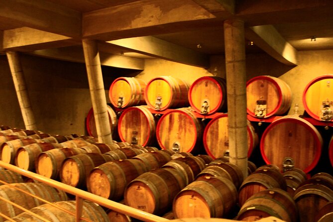 A Hop-On Hop-Off Wine Tour Service from Casablanca - Why This Tour Works From Valparaíso