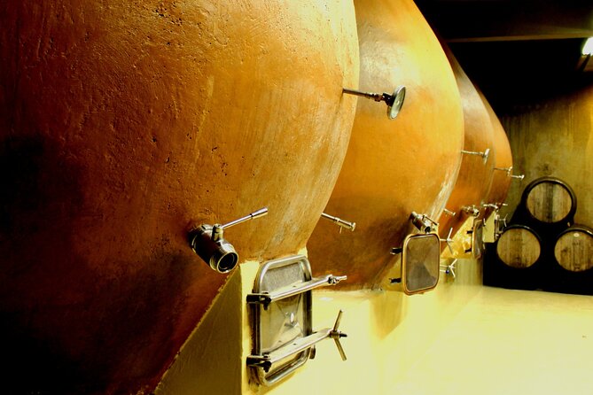 A Hop-On Hop-Off Wine Tour Service from Casablanca - Bodegas RE: Creative Winemaking in One Hour