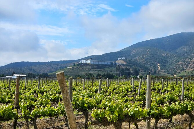 A Hop-On Hop-Off Wine Tour Service from Casablanca - What the $75 Price Really Covers