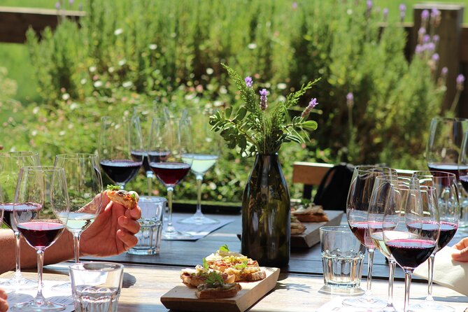 A Hop-On Hop-Off Wine Tour Service from Casablanca - Booking, Timing, and Cancellation Advice