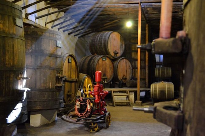 Aconcagua Private Wine Lovers Premium Tour - Viña San Esteban and the In Situ experience