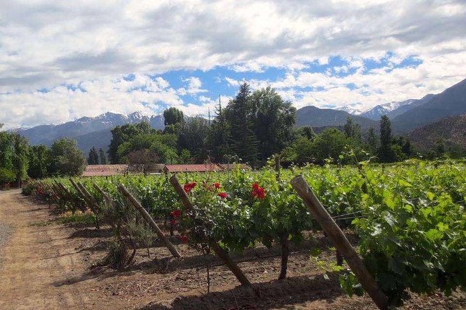 Aconcagua Private Wine Lovers Premium Tour - Flaherty Wines in a century-old adobe house