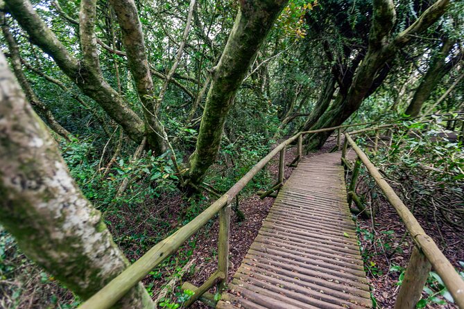 Activity in Fray Jorge National Park - Key points to know before booking