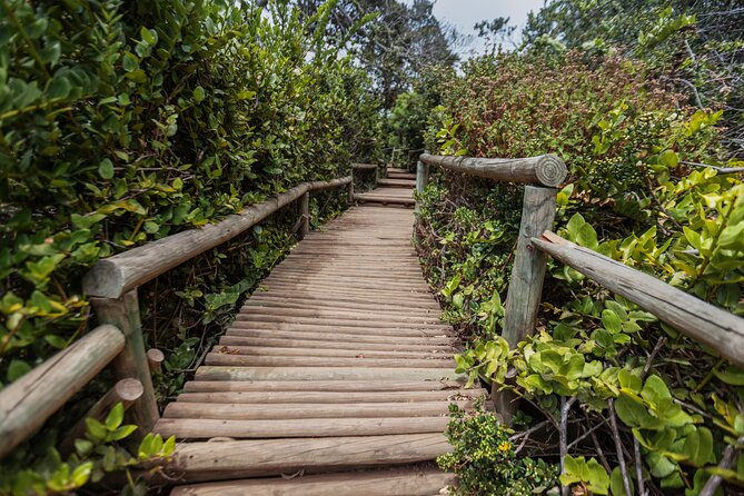 Activity in Fray Jorge National Park - Why Fray Jorge feels so unexpected