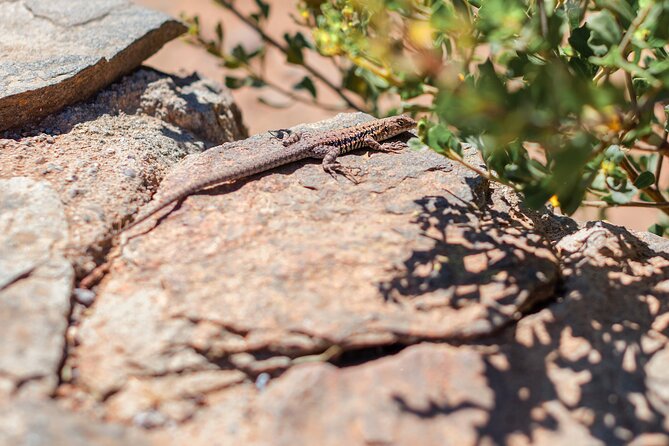 Activity in Fray Jorge National Park - Climbing toward an isolated forest