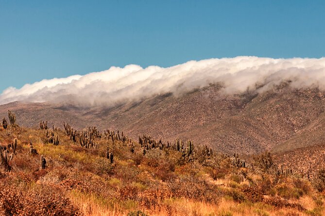 Activity in Fray Jorge National Park - Guide quality and the small-group setup