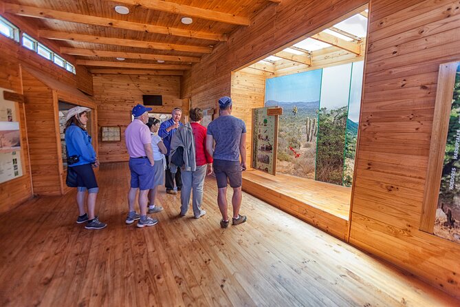 Activity in Fray Jorge National Park - Who should book this outing