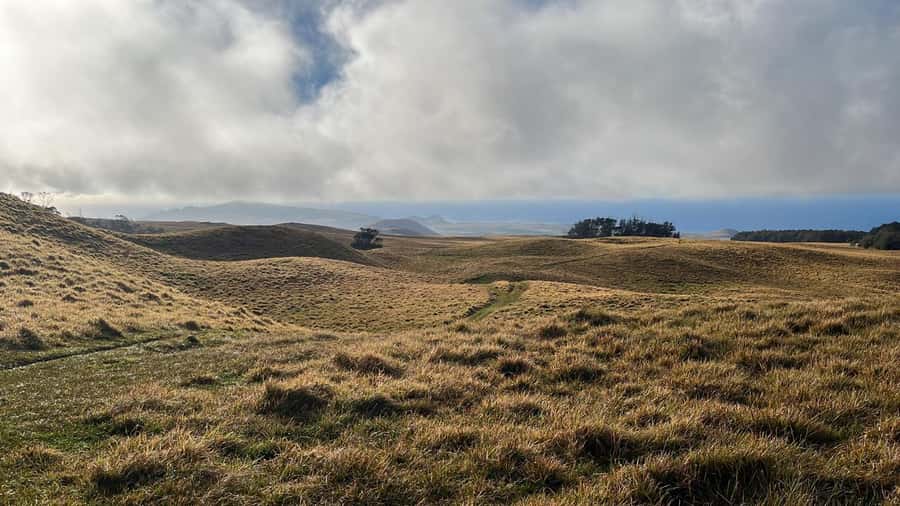Adventures in Rapa Nui: High-quality tourism with Easter Island Your Tour. - Key points to know before booking