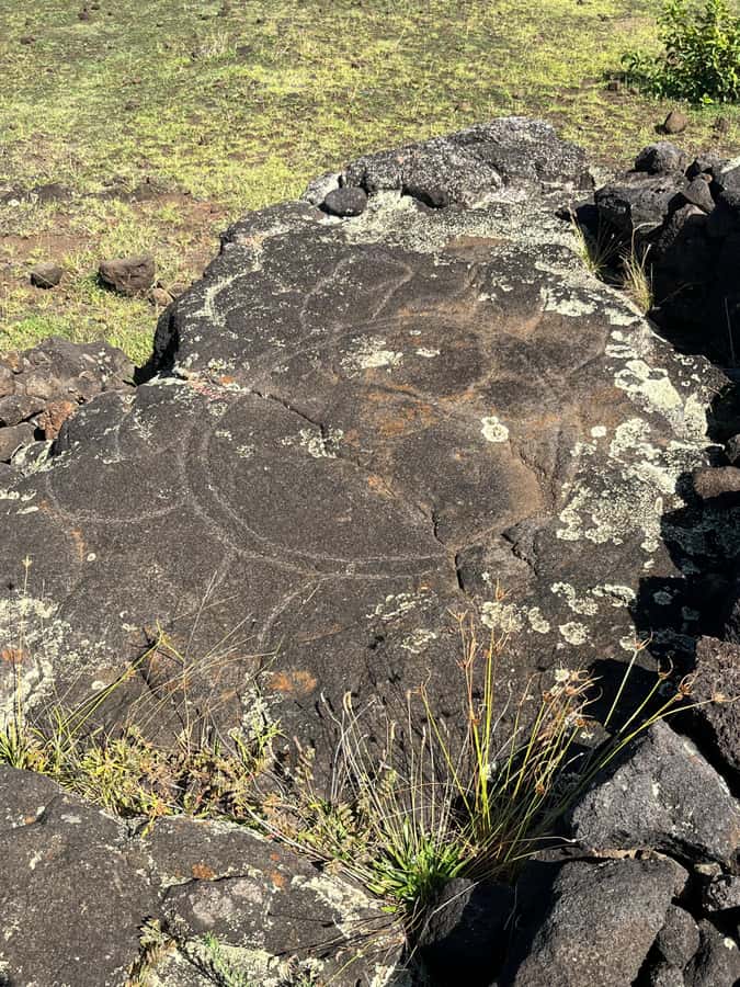Adventures in Rapa Nui: High-quality tourism with Easter Island Your Tour. - Rano Raraku, the moai quarry