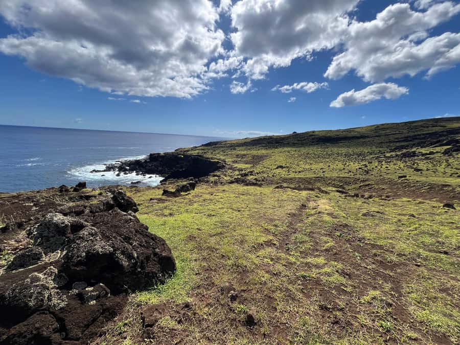 Adventures in Rapa Nui: High-quality tourism with Easter Island Your Tour. - Anakena, the day’s coastal finish