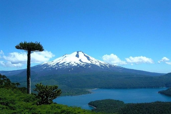 Airport - Pucón - Key points to know before booking