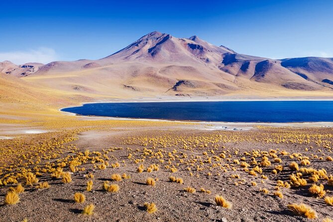 Altiplanic Lagoons and Piedras Rojas - Why this route works so well in one day