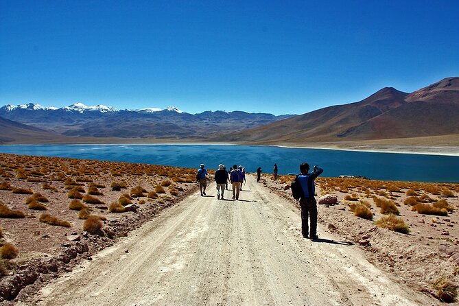 Altiplanic Lagoons and Piedras Rojas - Flamingos and salt at Chaxa Lagoon