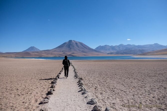 Altiplanic Lagoons and Piedras Rojas - Who should book this Atacama day trip?