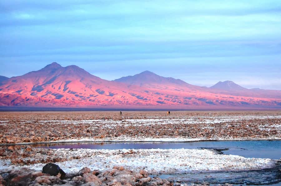 Altiplanic Lagoons and Red Stones from San Pedro de Atacama - Why this full-day route is worth your time
