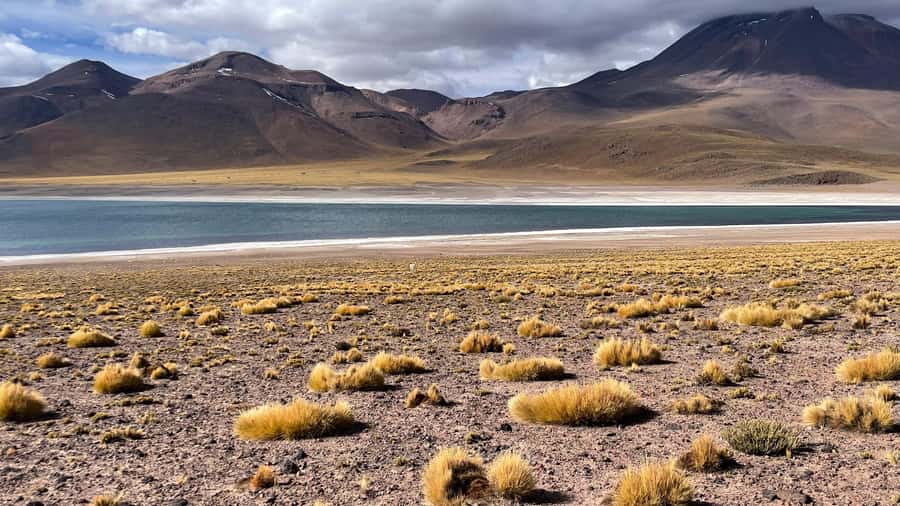Altiplanic Lagoons and Red Stones from San Pedro de Atacama - Altiplanic Lagoons above 4,000 meters