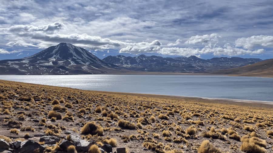 Altiplanic Lagoons and Red Stones from San Pedro de Atacama - Piedras Rojas and the colors of Aguas Calientes III