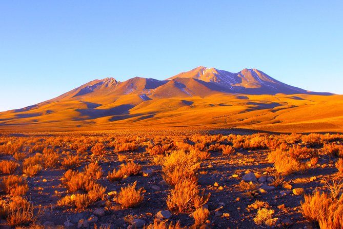 Altiplanic Lagoons & Piedras Rojas Tour from San Pedro de Atacama - Piedras Rojas and the Salar de Aguas Calientes