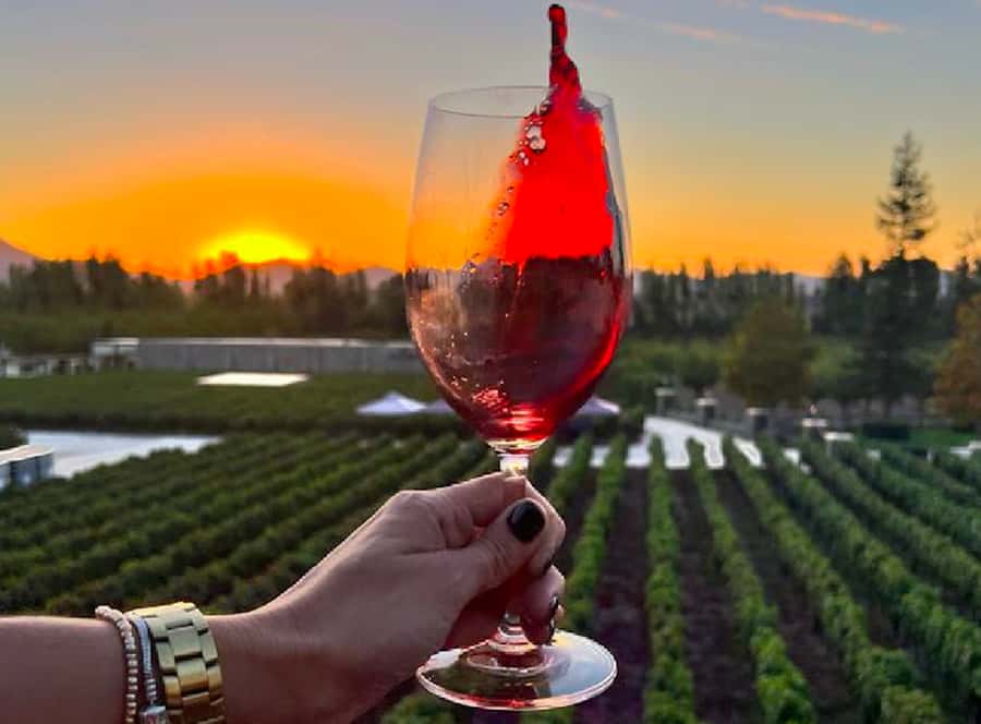 Alyan Family sunset winery - Key points at a glance