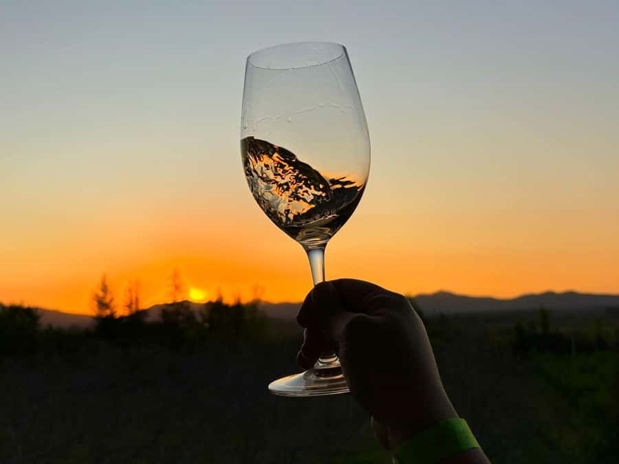 Alyan Family sunset winery - Who should book this experience?