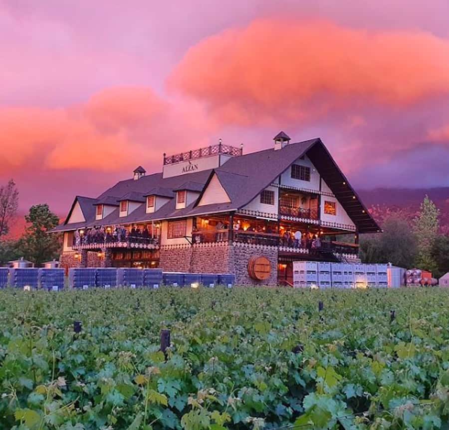 Alyan Family sunset winery - Leaving Santiago by hotel pickup