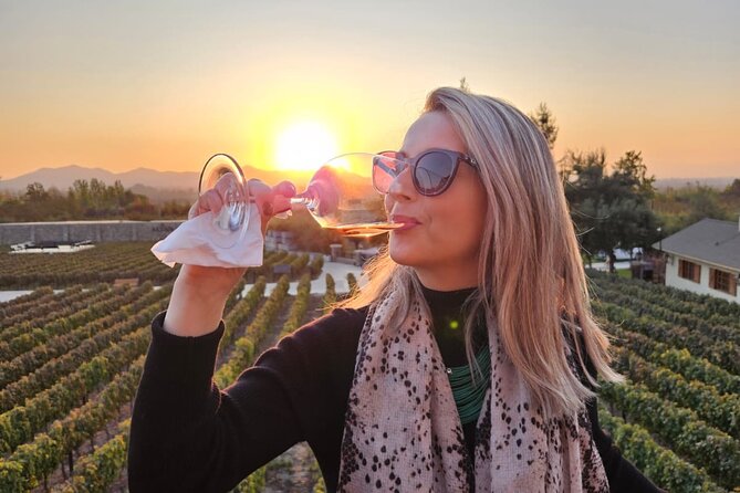 Alyan Family Wines by Sun and Unforgettable Dinner - Leaving Santiago by arranged transport