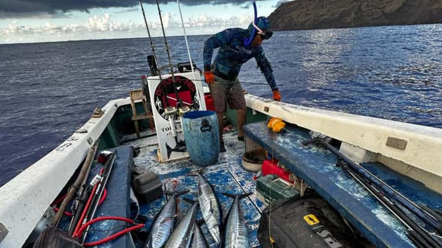 Ancestral fishing: Fishing with an experienced Rapa Nui - Ana Kai Tangata and the coastal view