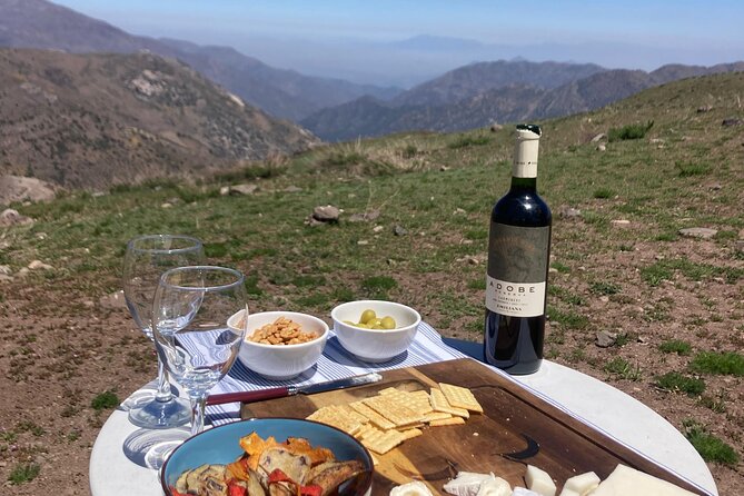 Andes Mountains Tour From Santiago with Appetizer - The guide can make or break the day
