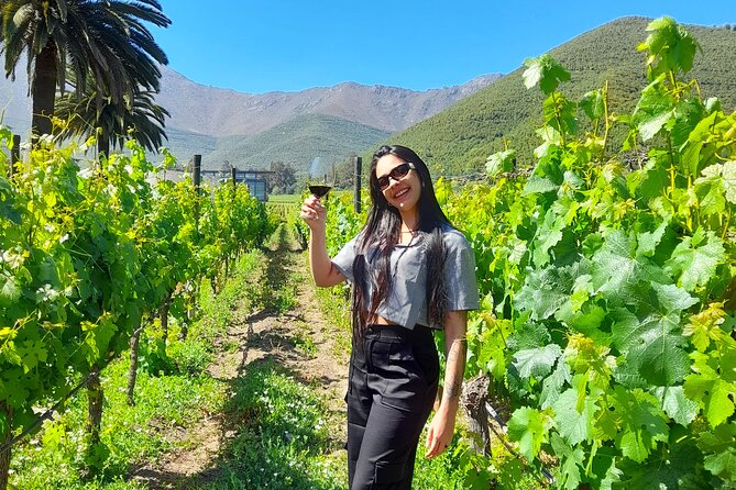 Andes Portillo & Aconcagua wine tour semi private - Why this Andes day trip works