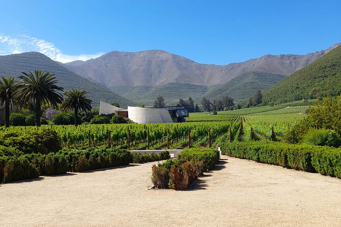 Andes Portillo & Aconcagua wine tour semi private - Laguna del Inca and Portillo’s historic ski setting