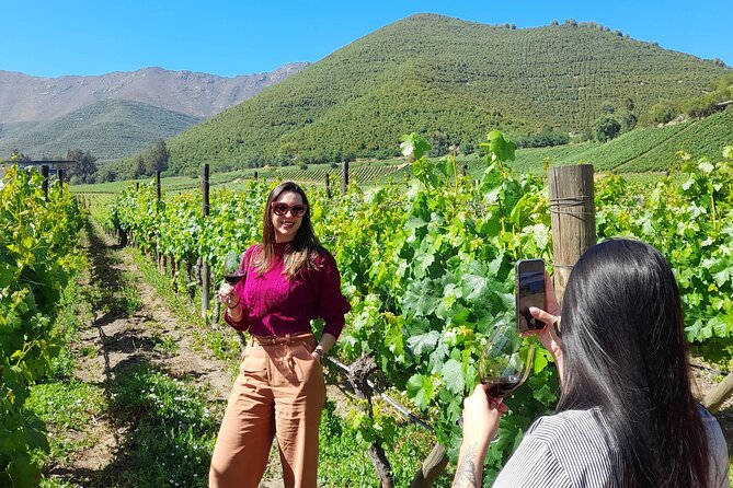 Andes Portillo & Aconcagua wine tour semi private - Los Caracoles and the climb toward Portillo