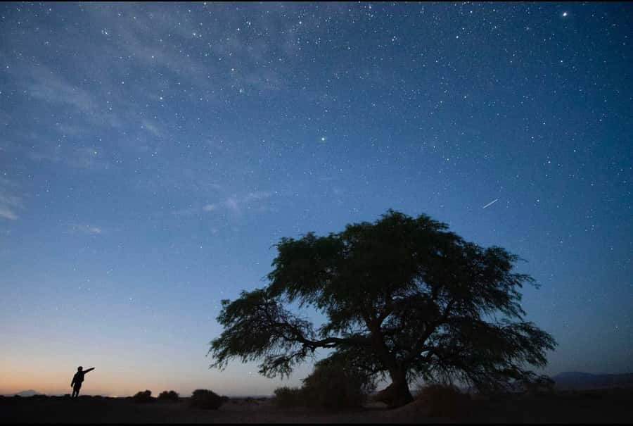 Antofagasta: Astronomical Tour with a Guide - Who will get the most from this tour?