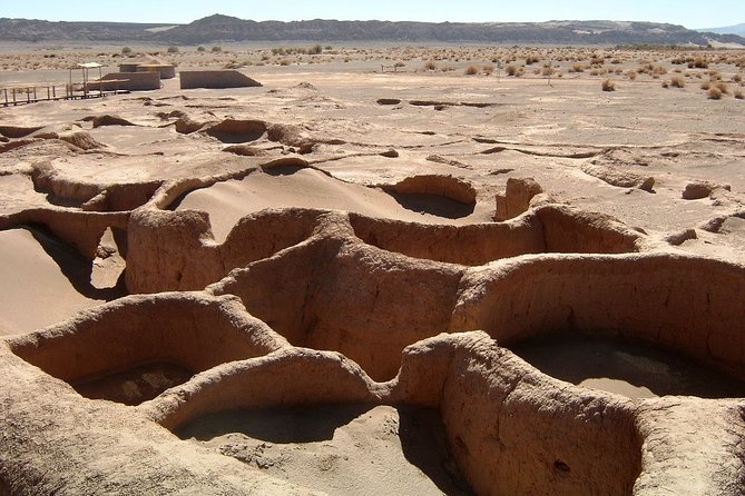 Archaeological Experience in Atacama Tulor and Quitor - The private format changes the pace