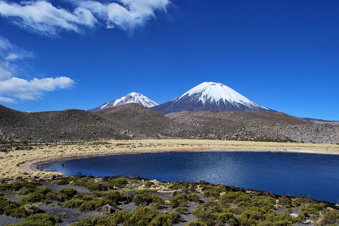 Arica: Full day to Lauca National Park and Chungara Lake, meals included - Key points to know before booking