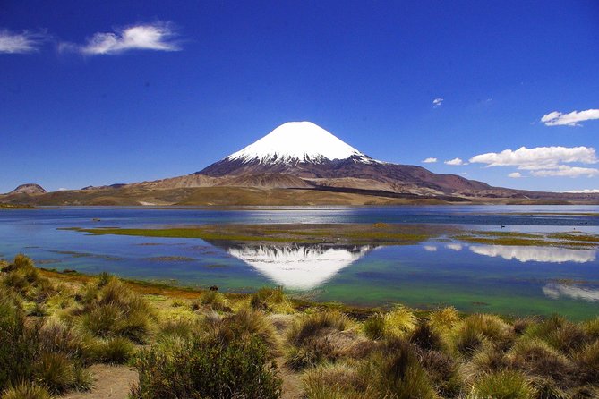 Arica: Full day to Lauca National Park and Chungara Lake, meals included - Why this Arica day trip is worth considering