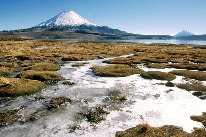 Arica: Full day to Lauca National Park and Chungara Lake, meals included - Chungara Lake at 4,500 meters